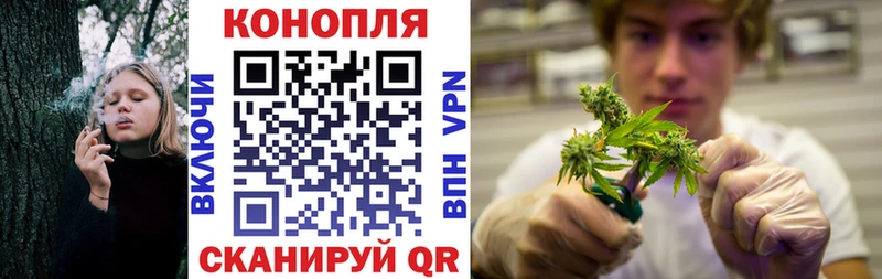 Где продают наркотики Катайск Гашиш  Cocaine  МЕФ  MDMA  Конопля  СОЛЬ 