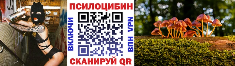 магазин    Катайск  Галлюциногенные грибы Magic Shrooms 